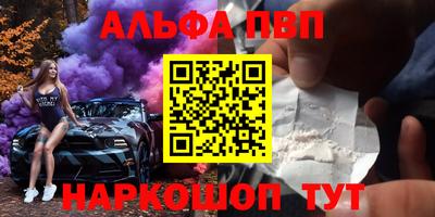 бошки Кингисепп