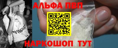 бошки Кингисепп
