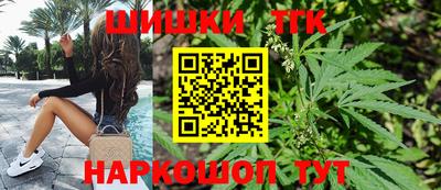 бошки Кингисепп