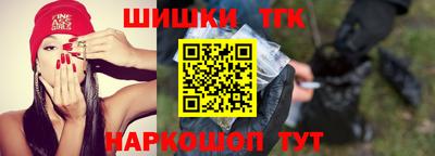 бошки Кингисепп