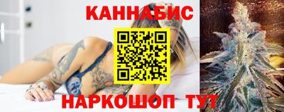 бошки Кингисепп