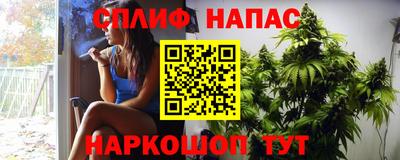 спайс Кинель