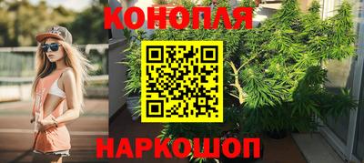 бошки Кингисепп