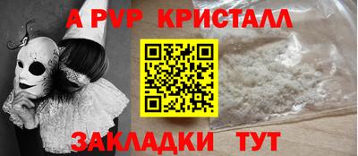 бошки Кингисепп
