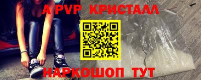 бошки Кингисепп